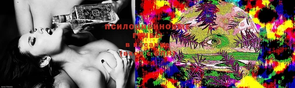 mix Кукмор